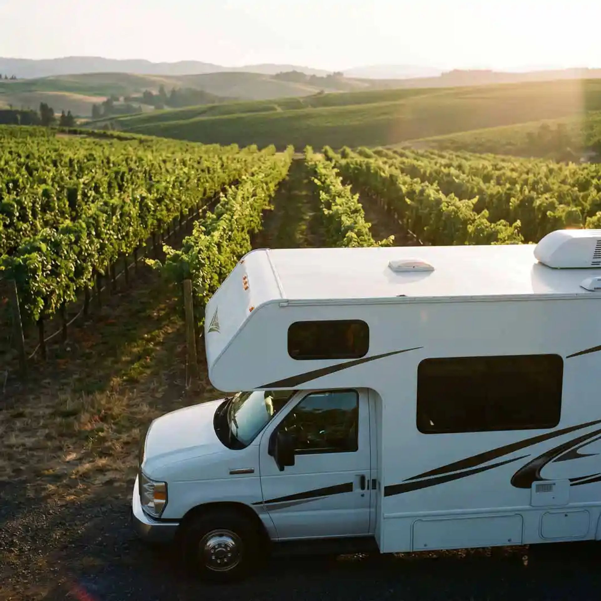 A Class B parked in a vineyard.