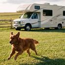 A dog running through an open field with a Class C RV in the background.