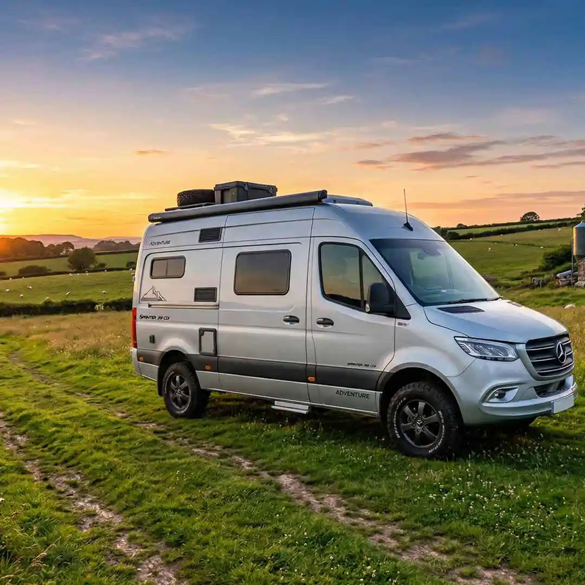 Class B in a farm pasture