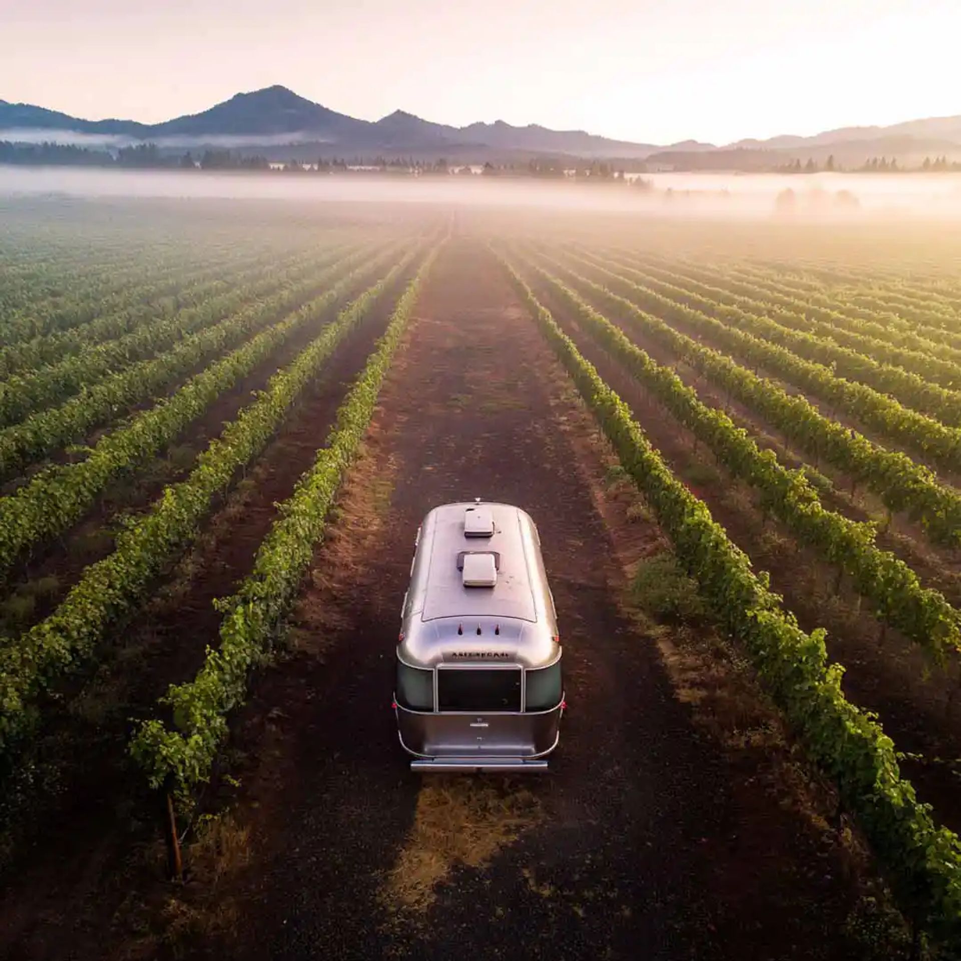 Airstream RV in a vineyard
