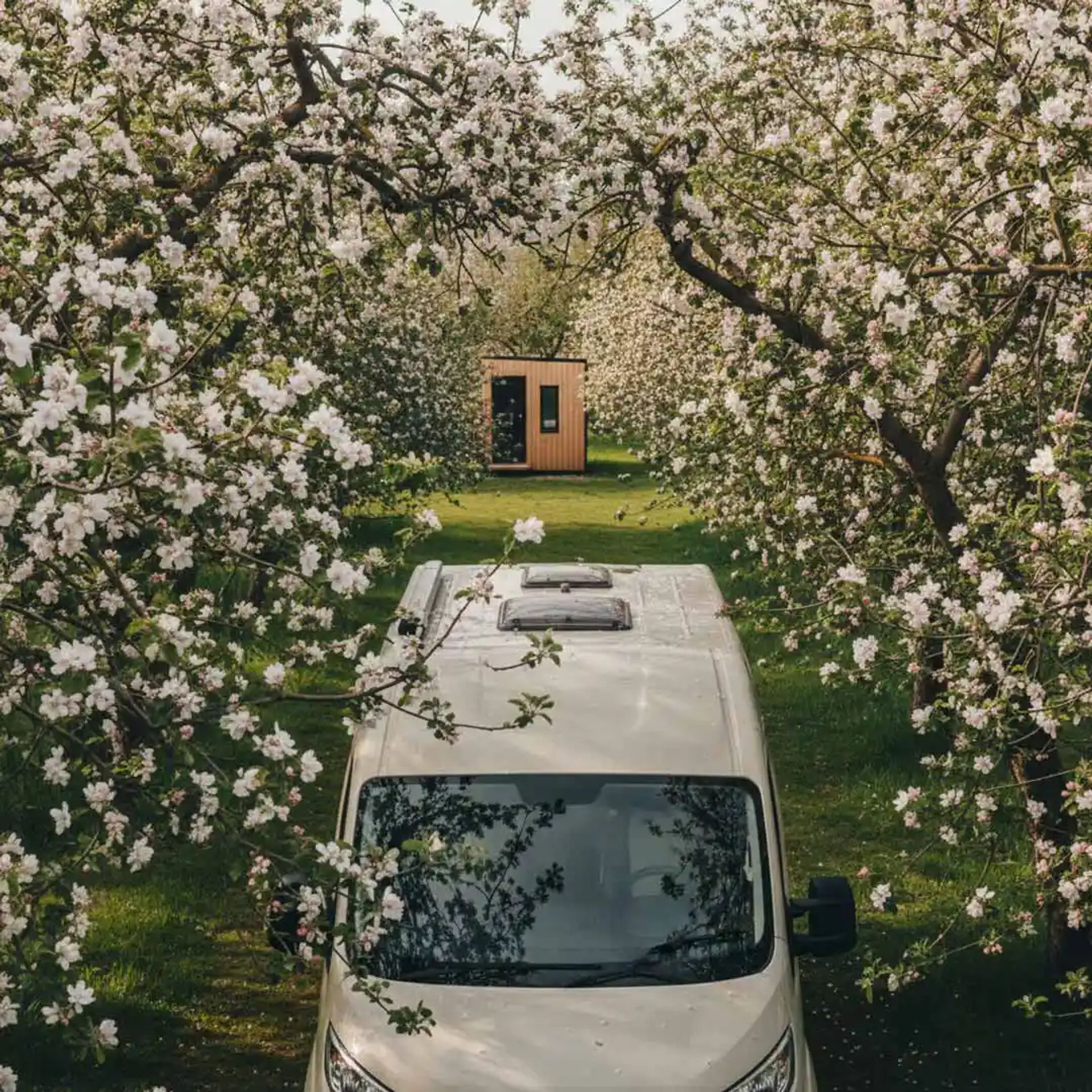 Class B RV in the spring bloom of an apple orchard